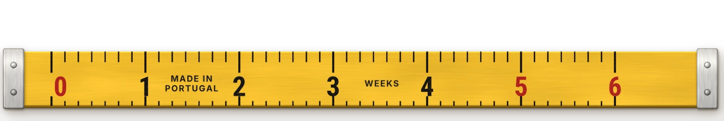 Timeline in weeks: first visit on day 1, about four weeks at our workshop, the fitting around week five, the suit ready by week six.
