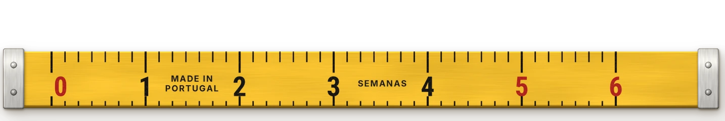 Calendário em semanas: primeira visita no dia 1, cerca de quatro semanas na nossa oficina, a prova por volta da semana cinco, o fato pronto até à semana seis.